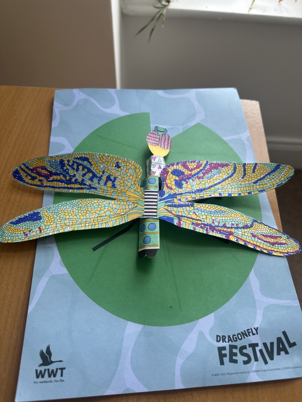 View: 3D Dragonflies